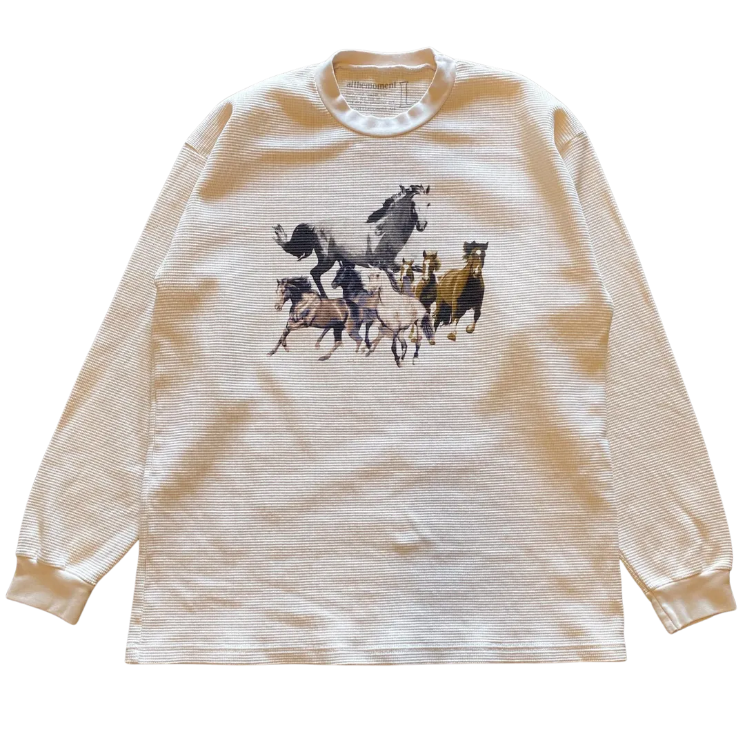 Horses Thermal
