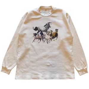 Horses Thermal