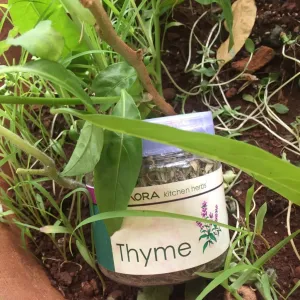 Thyme