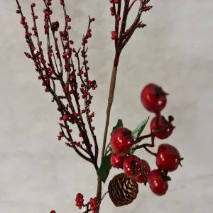 Winter fruits branch