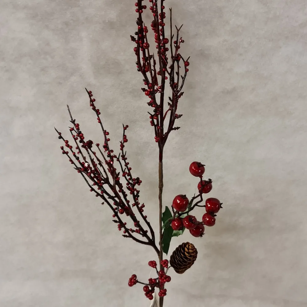 Winter fruits branch