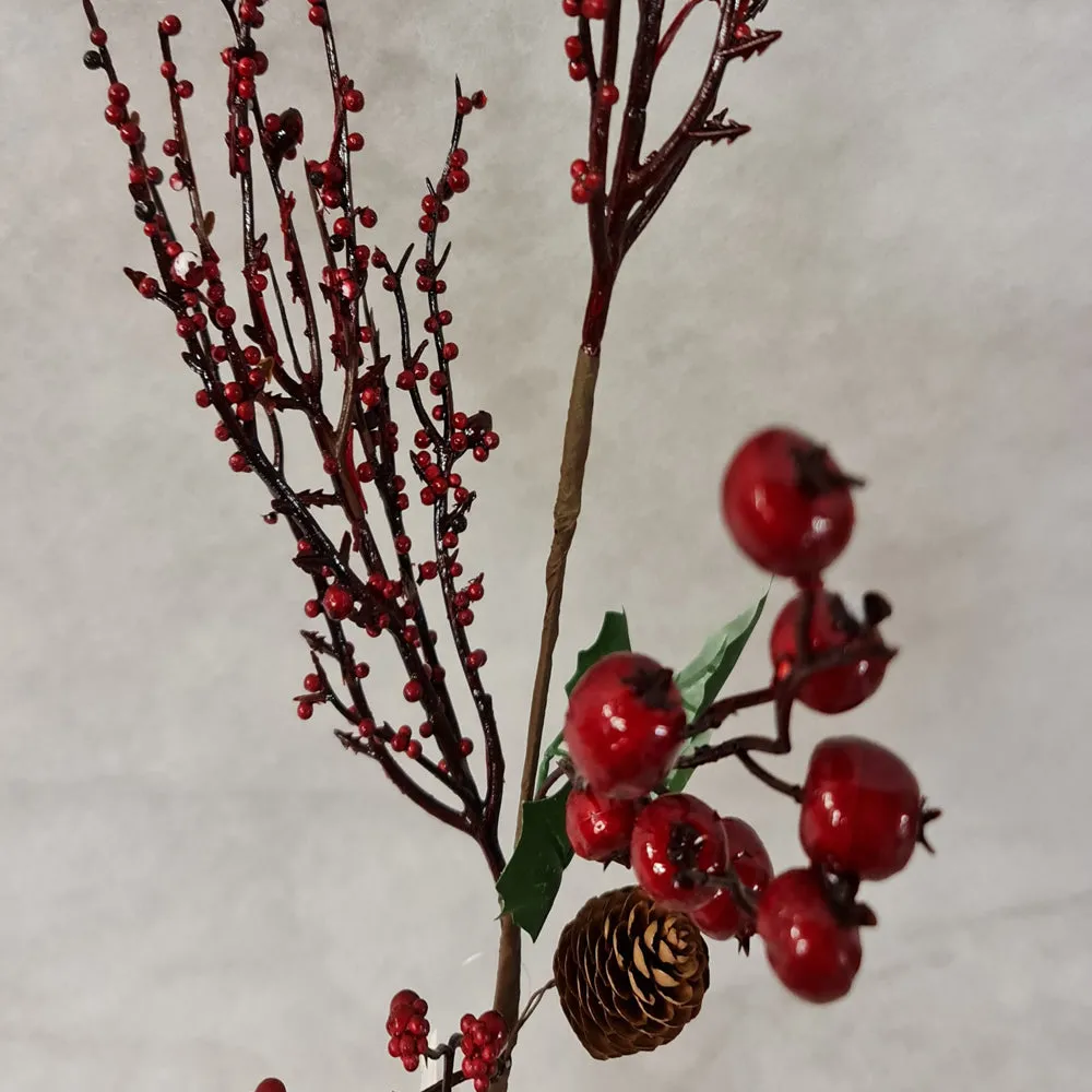 Winter fruits branch